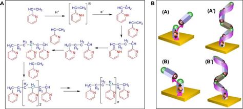  Vinylpyridin - Ein vielseitiges Monomer für die Polymerchemie!